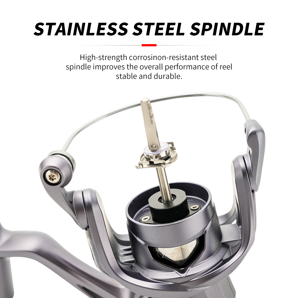 Carrete de Pesca Spinning John - Daiwa Reel Bg reseña y precio